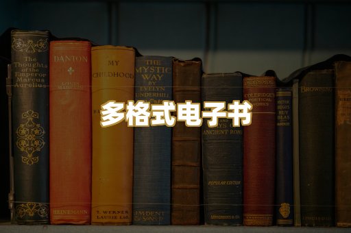 多格式电子书
